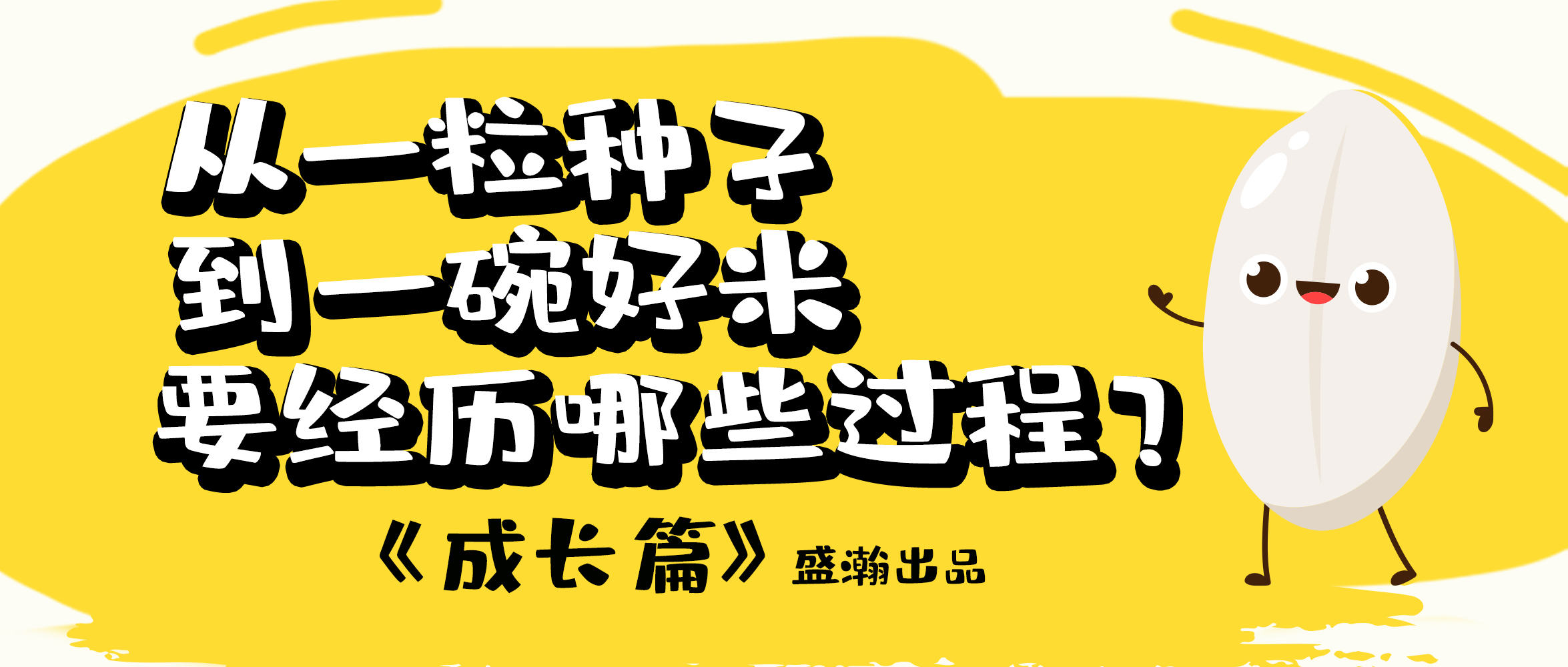 大米的一生-成長篇 | 從一粒種子到一碗好米要經(jīng)歷哪些過程？